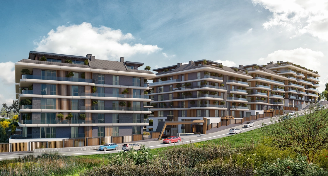 27_1fa94214482daed4bd7fcae06fc89441_25